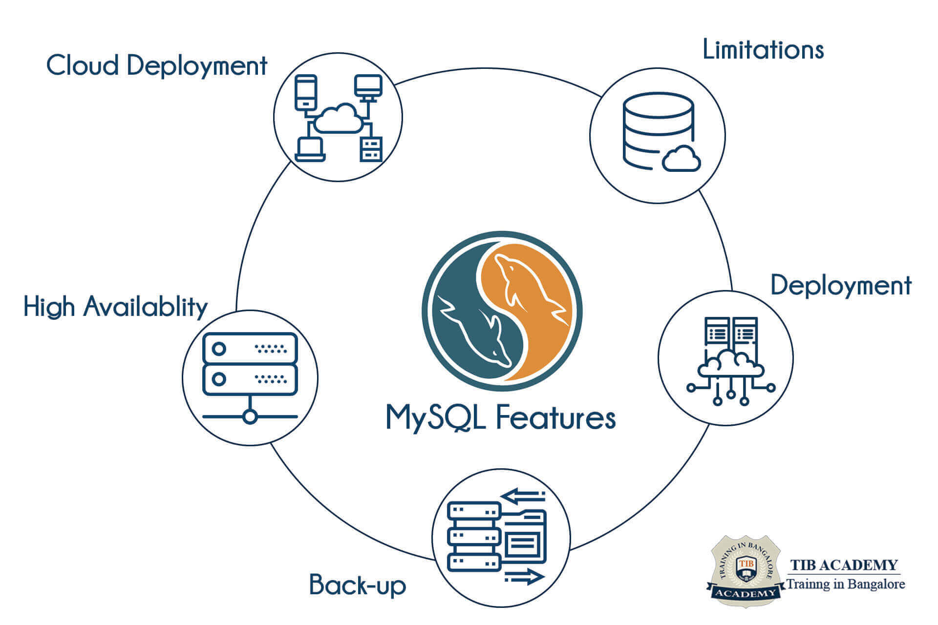 MySQL Training